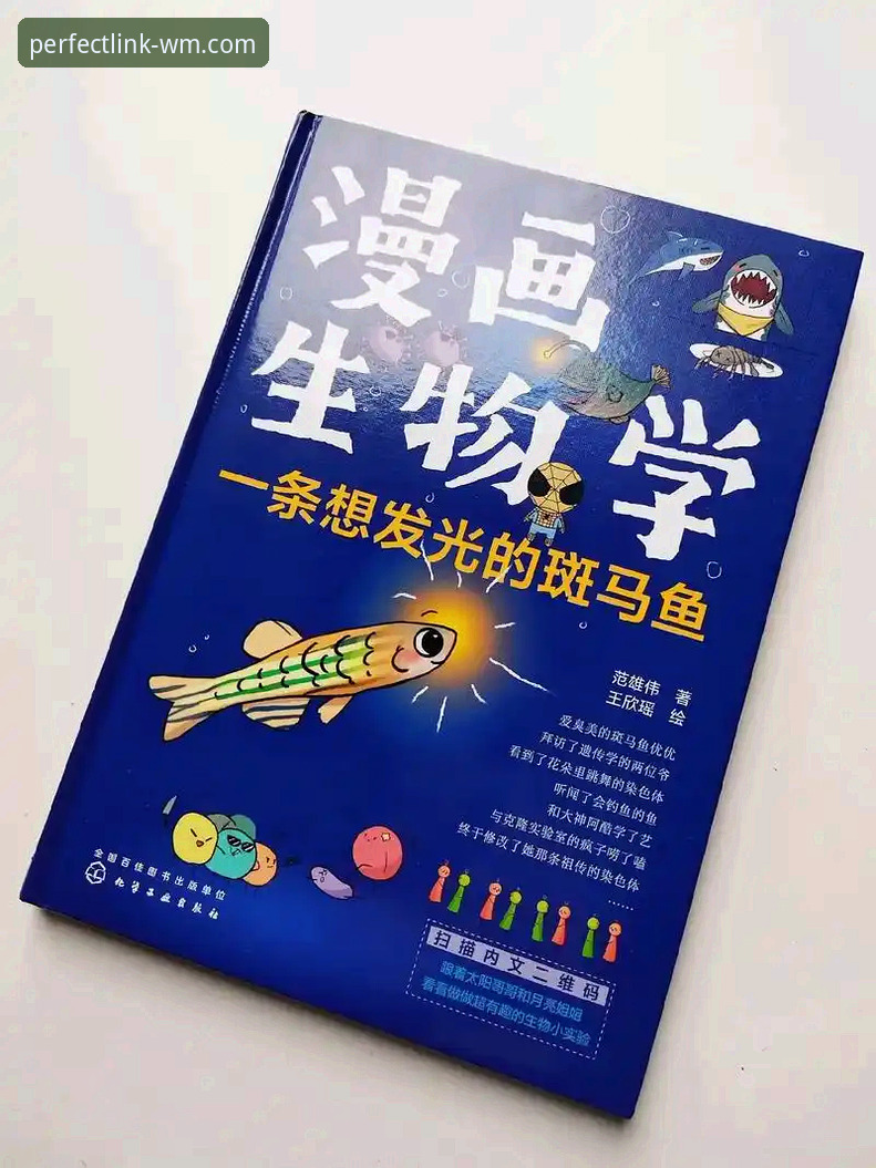 完美体育怎么下载使用技巧 掌握完美体育下载与使用的核心技巧:从安装到高效操作的实用指南