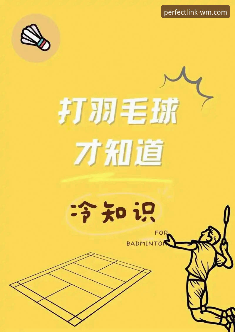 揭秘完美体育最新版本安装教程：你不知道的下载安装全流程真相